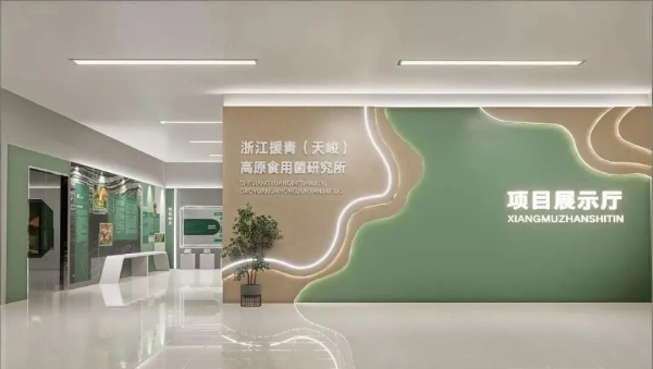 鄉(xiāng)村振興展示館設(shè)計